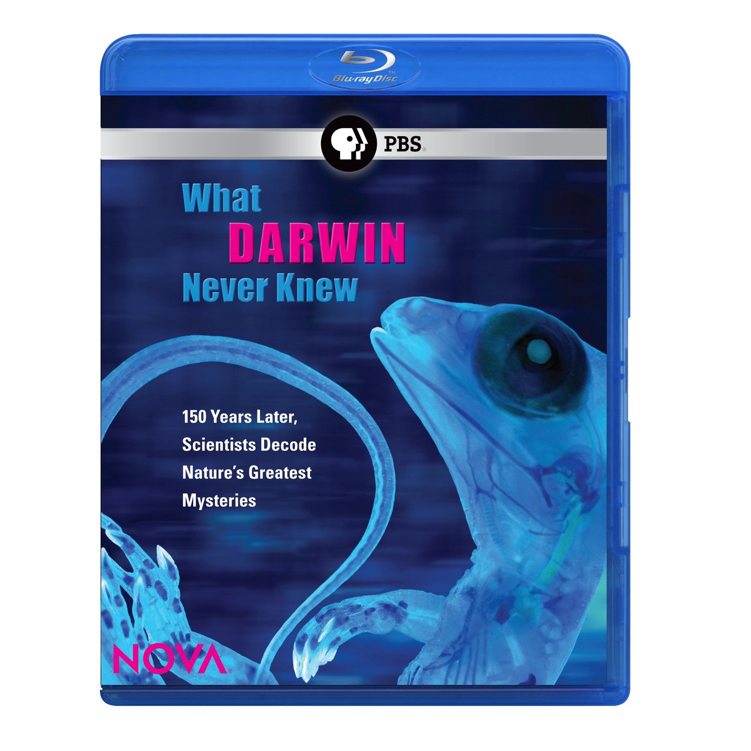 その他 Nova: What Darwin Never Knew [Blu-ray] Amazon.co.jp: Nova: What Darwin Never Knew [Blu-ray] : DVD